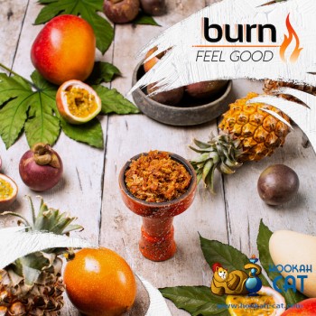 Заказать кальянный табак Burn Feel Good (Берн Тропический Коктейль) 100г онлайн с доставкой всей России - фото 1
